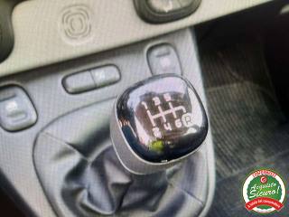 FIAT Panda usata, con Fendinebbia