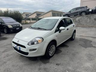 FIAT Punto 1.4 8V 5 porte Natural Power