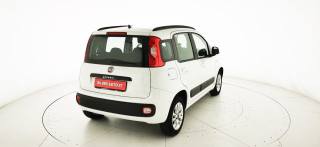 FIAT Panda usata, con Volante multifunzione