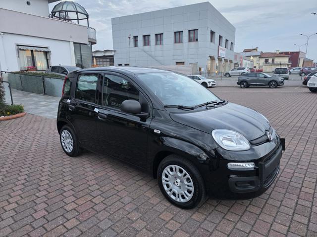 FIAT Panda usata, con Airbag Passeggero