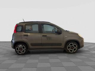 FIAT Panda usata 5