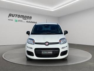 FIAT Panda usata, con Airbag