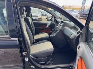 FIAT Panda usata, con Servosterzo