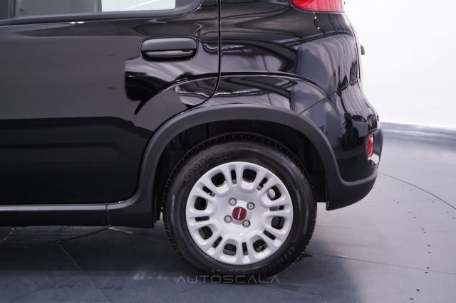 FIAT New Panda usata 23