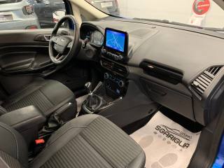 FORD EcoSport usata, con Fendinebbia