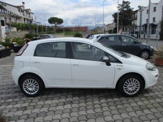 FIAT Punto usata, con Airbag Passeggero