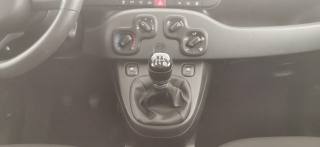 FIAT Panda usata 12