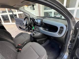 FIAT Panda usata 8