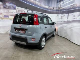 FIAT Panda usata, con Antifurto