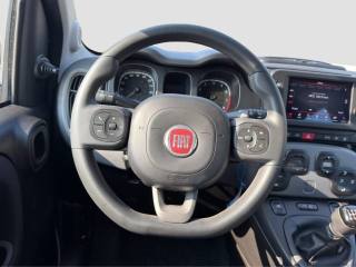 FIAT Panda usata 12