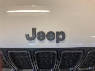 JEEP Renegade usata 18