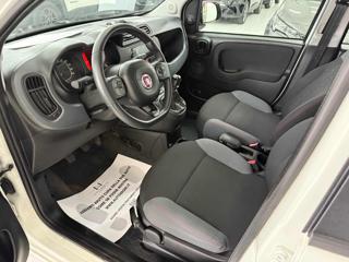 FIAT Panda usata, con Fendinebbia