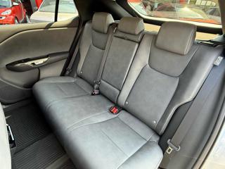 LEXUS RZ Full Electric usata, con Climatizzatore