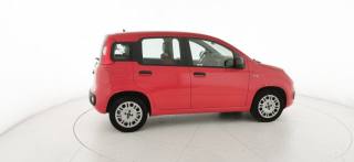 FIAT Panda usata 19