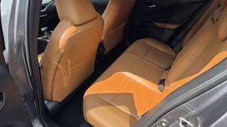 LEXUS UX 250h usata, con Fendinebbia