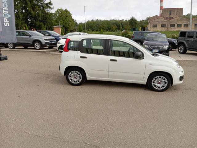 FIAT Panda usata, con Alzacristalli elettrici