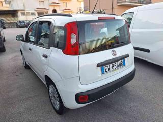 FIAT Panda usata, con Immobilizzatore elettronico