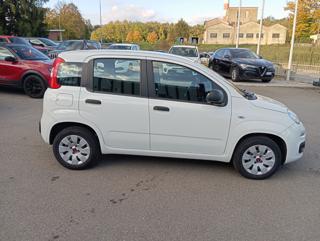 FIAT Panda usata, con Alzacristalli elettrici