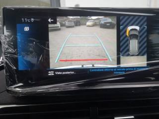 PEUGEOT 3008 usata, con Bracciolo