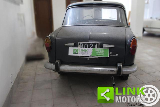 FIAT 1100 usata 2