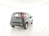 FIAT Panda usata, con Antifurto