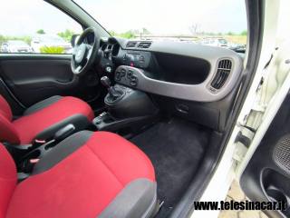 FIAT Panda usata 15
