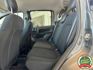 FIAT Panda usata, con Volante multifunzione