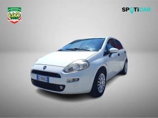 FIAT Punto usata 14