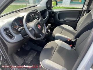 FIAT Panda usata, con Climatizzatore