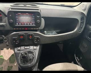 FIAT New Panda usata, con Fendinebbia