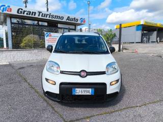 FIAT Panda usata 1