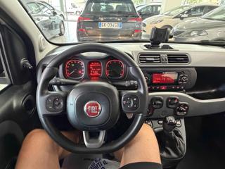 FIAT Panda usata, con Airbag testa