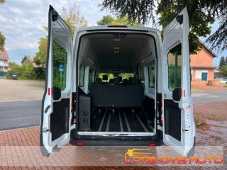 FORD Transit usata 16
