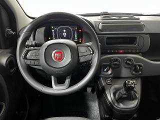 FIAT Panda usata, con Airbag testa