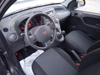 FIAT Panda usata 14