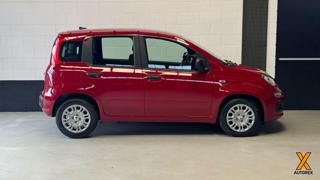 FIAT Panda usata, con Alzacristalli elettrici