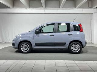 FIAT Panda usata, con Airbag
