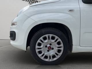 FIAT Panda usata 15