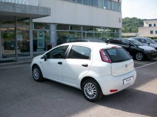 FIAT Punto usata 5