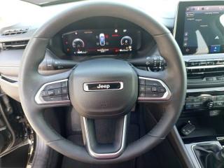 JEEP Compass usata, con Filtro antiparticolato