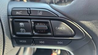 TOYOTA Yaris usata, con Fendinebbia