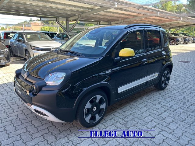 FIAT Pandina usata, con Controllo trazione