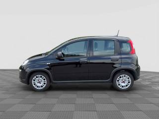 FIAT Panda usata 1