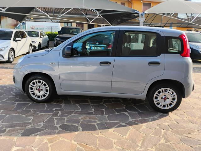 FIAT Panda usata, con Chiusura centralizzata