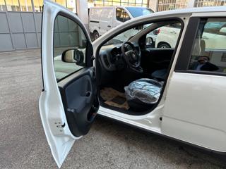 FIAT Panda usata, con Controllo trazione