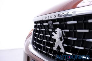 PEUGEOT 3008 usata 57