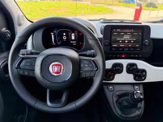 FIAT Panda Cross usata, con Fendinebbia