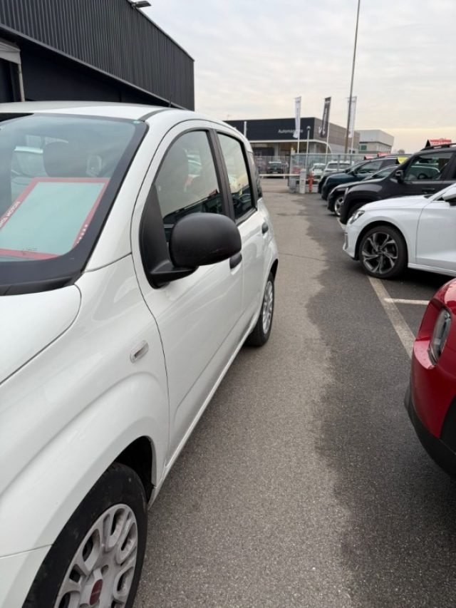 FIAT Panda usata, con Airbag Passeggero