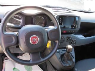FIAT Panda usata, con Autoradio