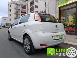 FIAT Punto usata 36